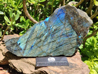 Polished XL One Side Labradorite Display Piece x 1 From Madagascar