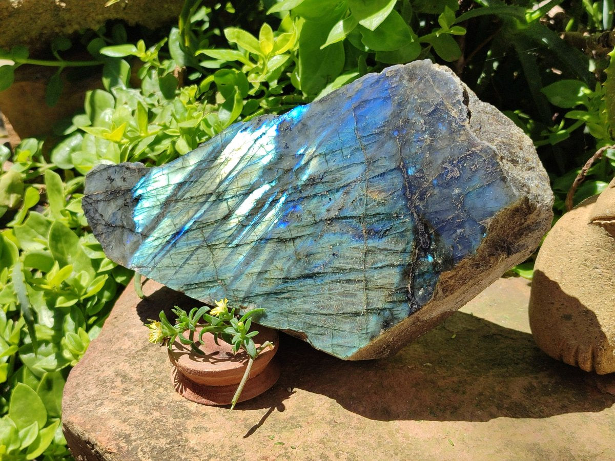 Polished XL One Side Labradorite Display Piece x 1 From Madagascar
