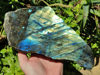 Polished XL One Side Labradorite Display Piece x 1 From Madagascar