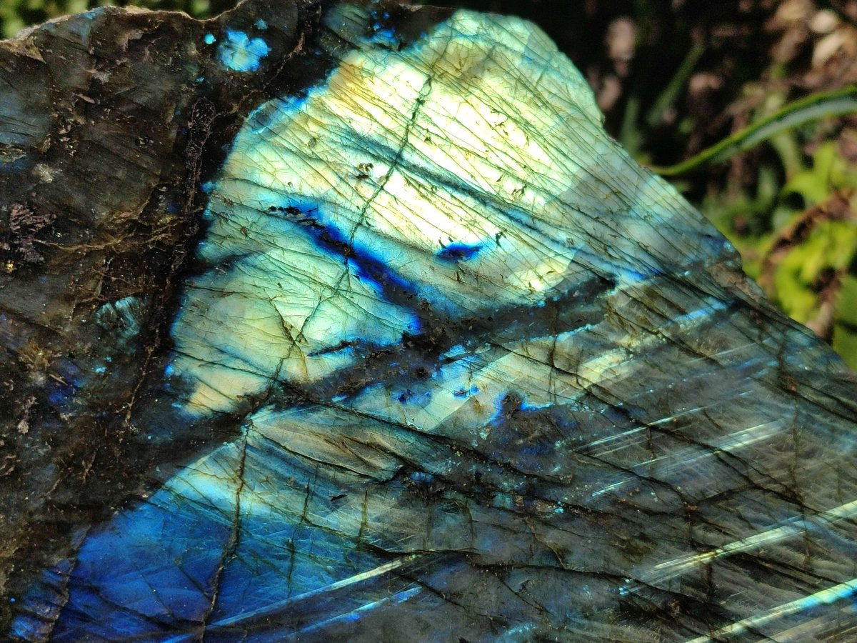Polished XL One Side Labradorite Display Piece x 1 From Madagascar