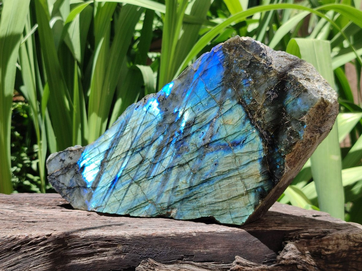 Polished XL One Side Labradorite Display Piece x 1 From Madagascar