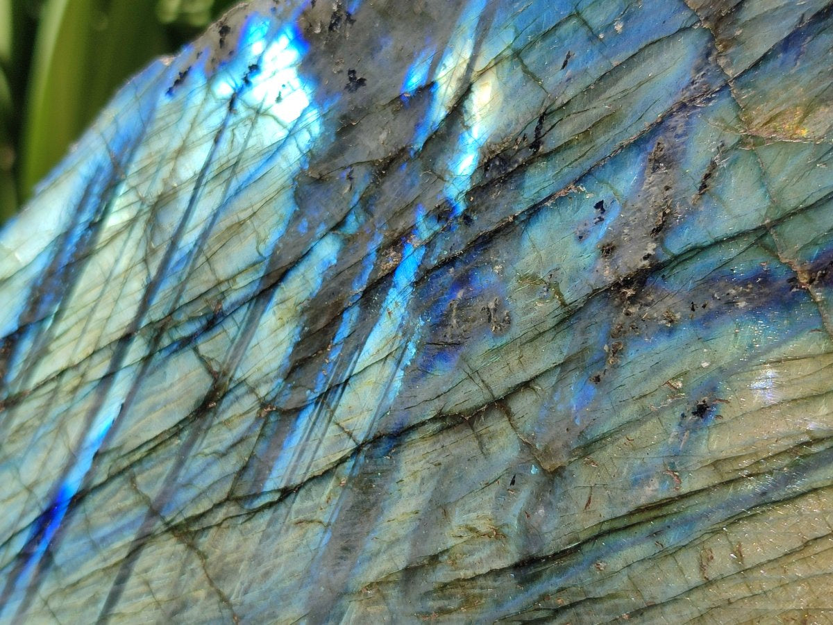 Polished XL One Side Labradorite Display Piece x 1 From Madagascar