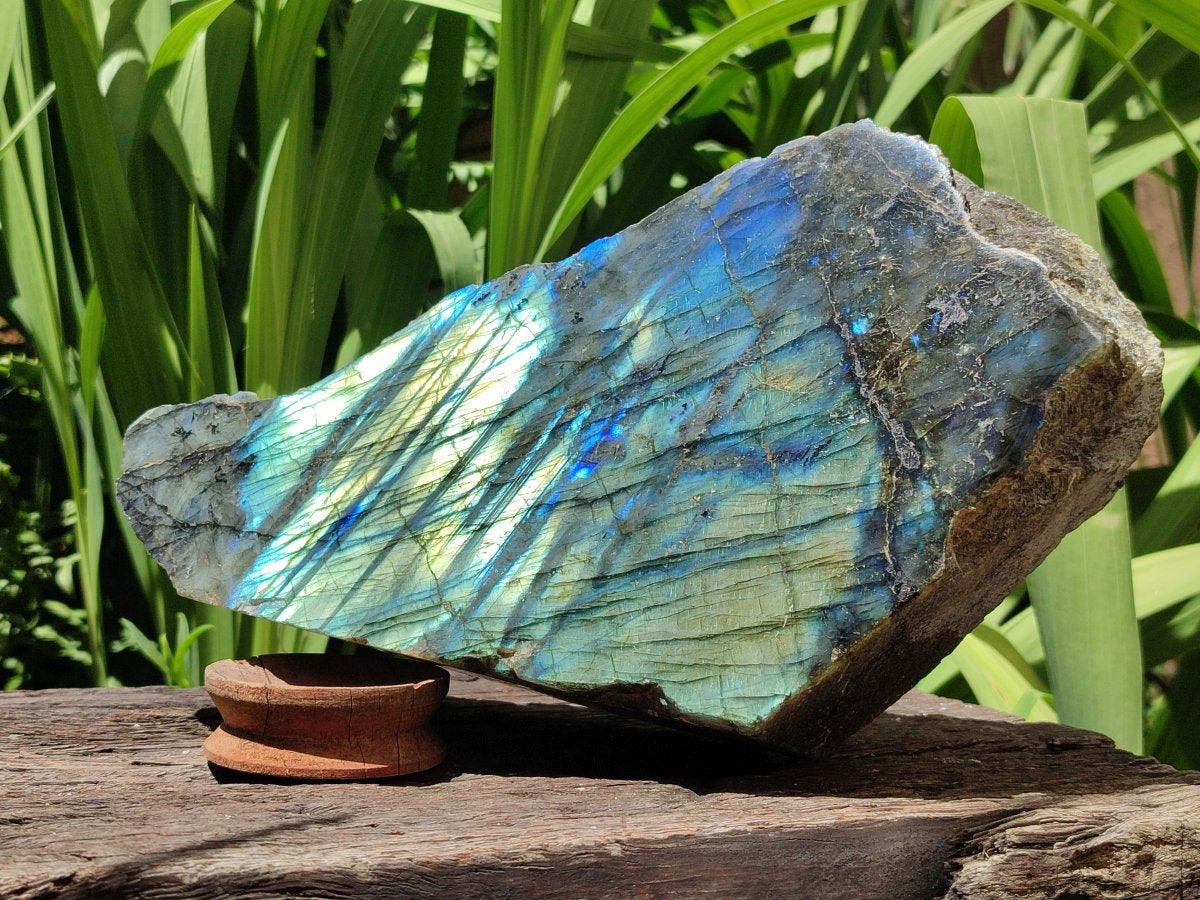 Polished XL One Side Labradorite Display Piece x 1 From Madagascar