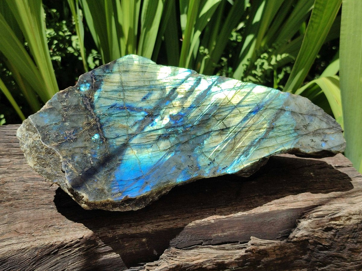Polished XL One Side Labradorite Display Piece x 1 From Madagascar
