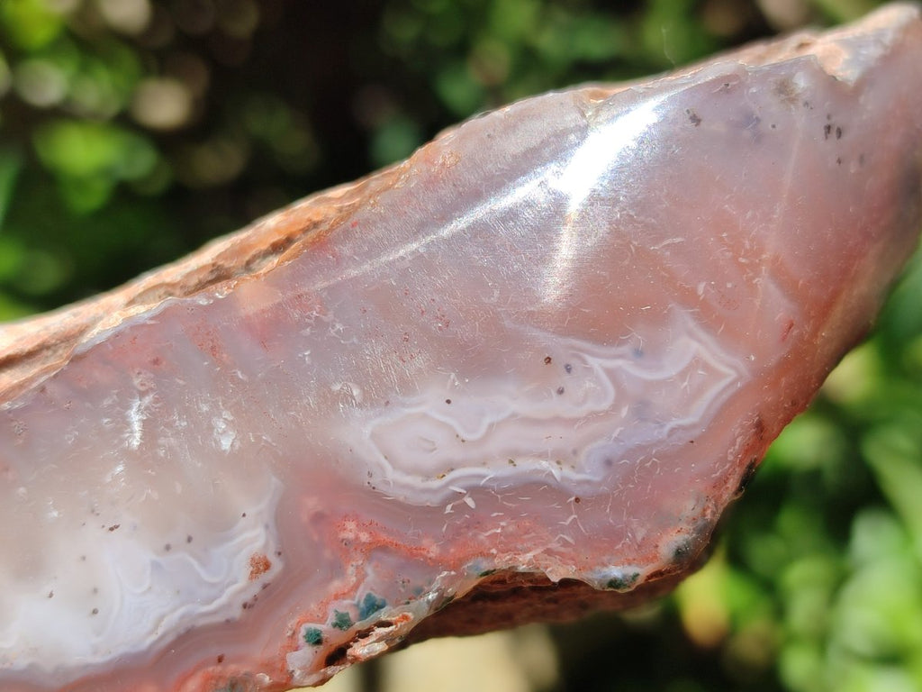 Polished On One Side Red Shashe River Agate Nodules x 5 From Shashe River, Zimbabwe