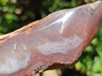 Polished On One Side Red Shashe River Agate Nodules x 5 From Shashe River, Zimbabwe