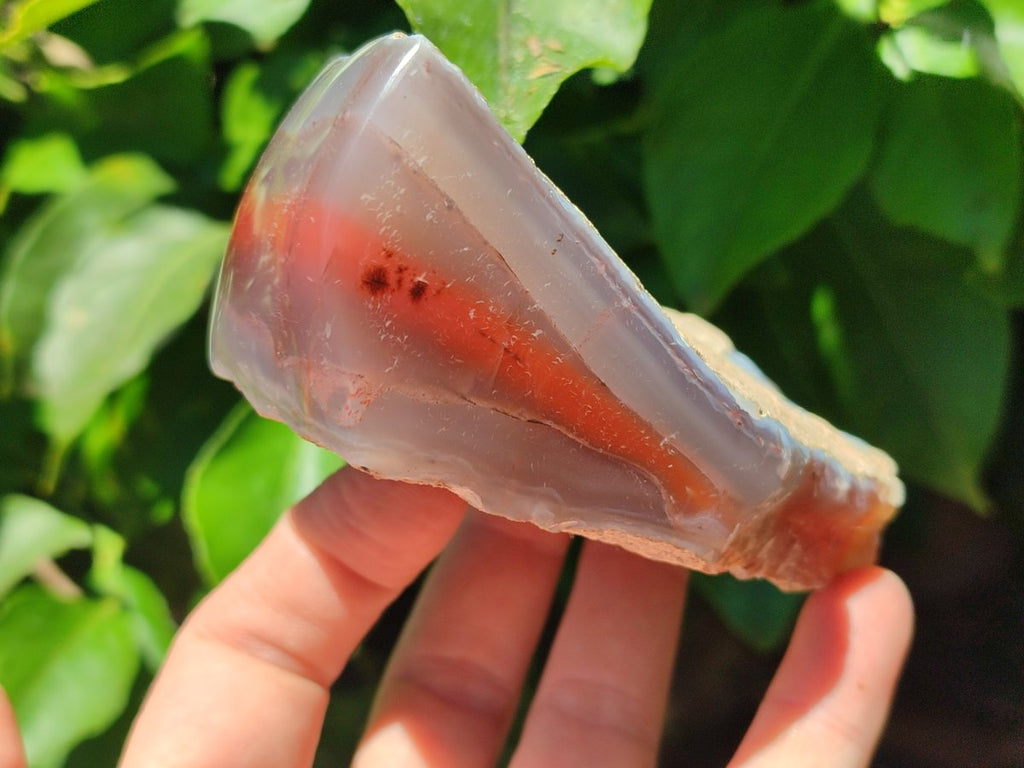 Polished On One Side Red Shashe River Agate Nodules x 5 From Shashe River, Zimbabwe