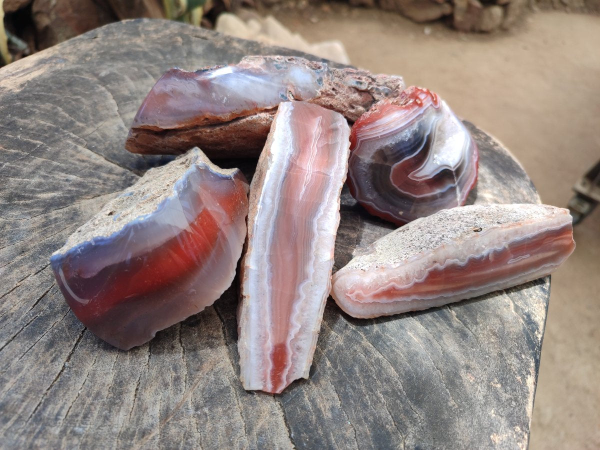 Polished On One Side Red Shashe River Agate Nodules x 5 From Shashe River, Zimbabwe