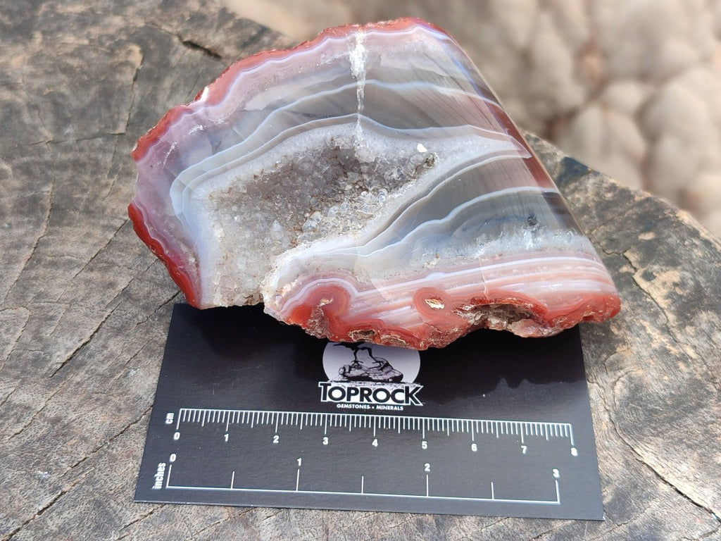 Polished On One Side Red Shashe River Agate Nodules x 5 From Shashe River, Zimbabwe
