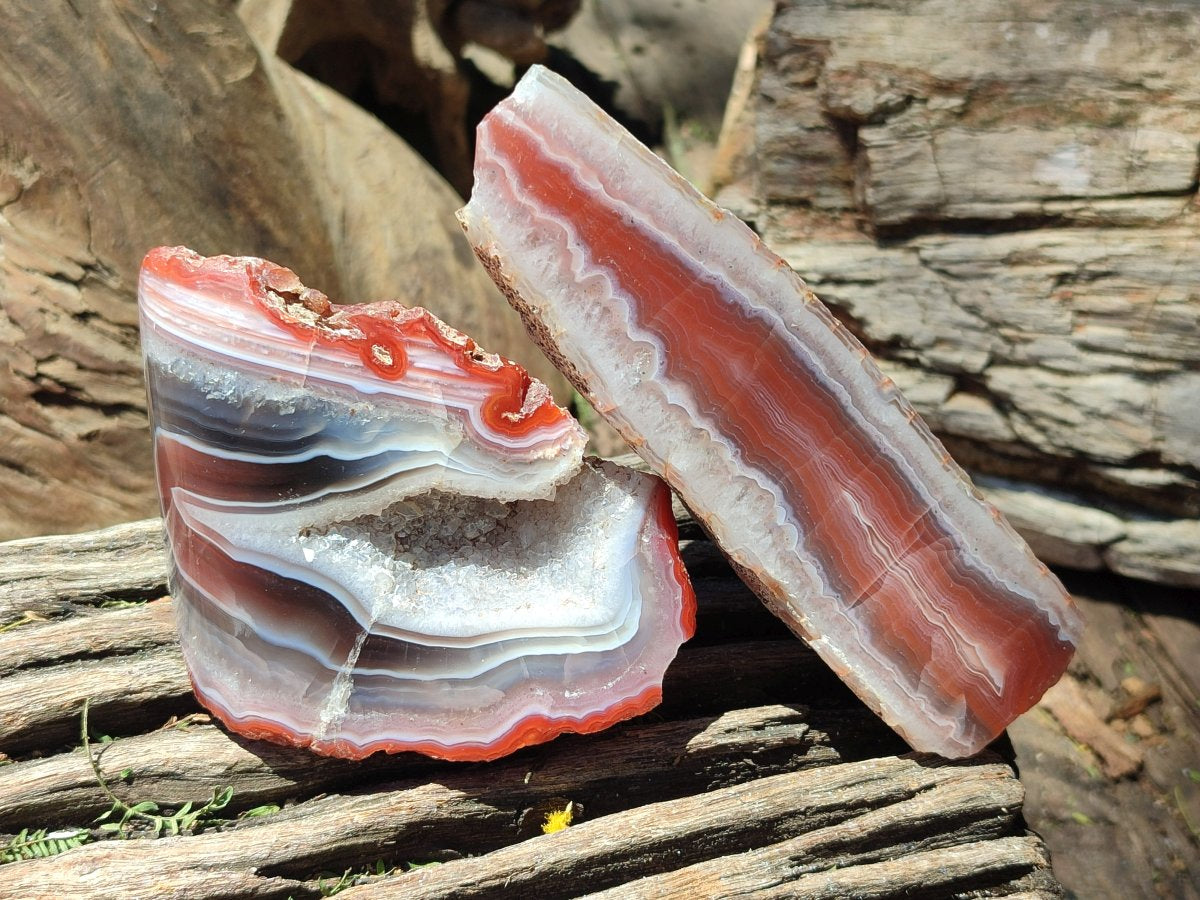Polished On One Side Red Shashe River Agate Nodules x 5 From Shashe River, Zimbabwe