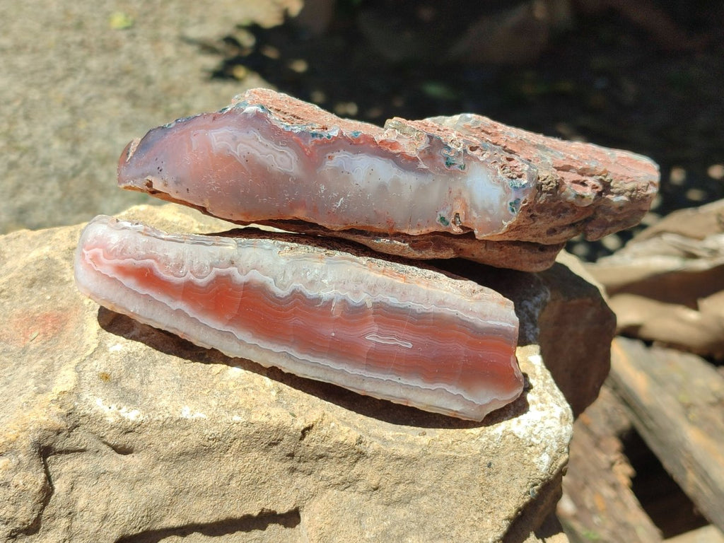Polished On One Side Red Shashe River Agate Nodules x 5 From Shashe River, Zimbabwe