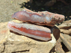 Polished On One Side Red Shashe River Agate Nodules x 5 From Shashe River, Zimbabwe