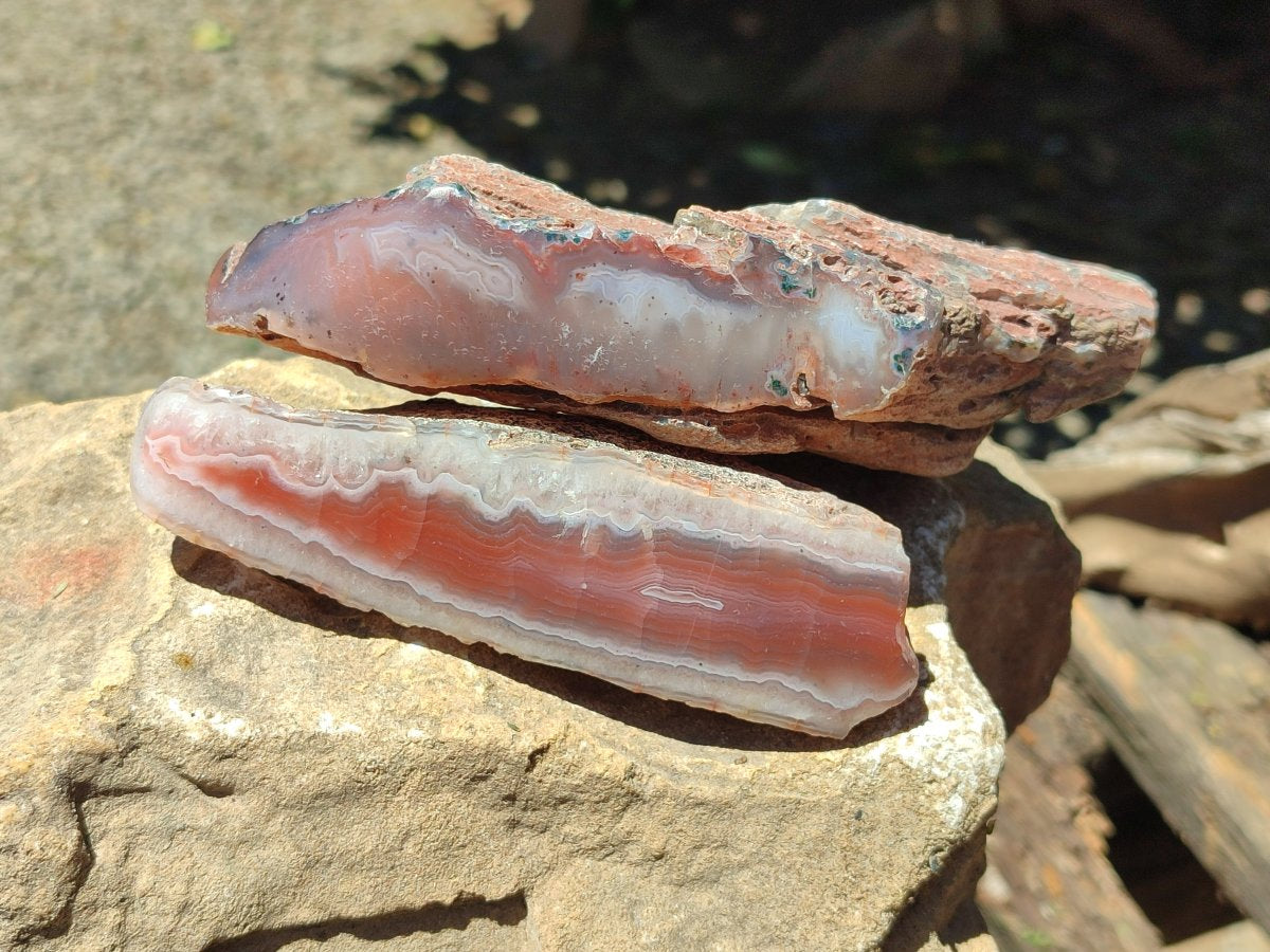 Polished On One Side Red Shashe River Agate Nodules x 5 From Shashe River, Zimbabwe