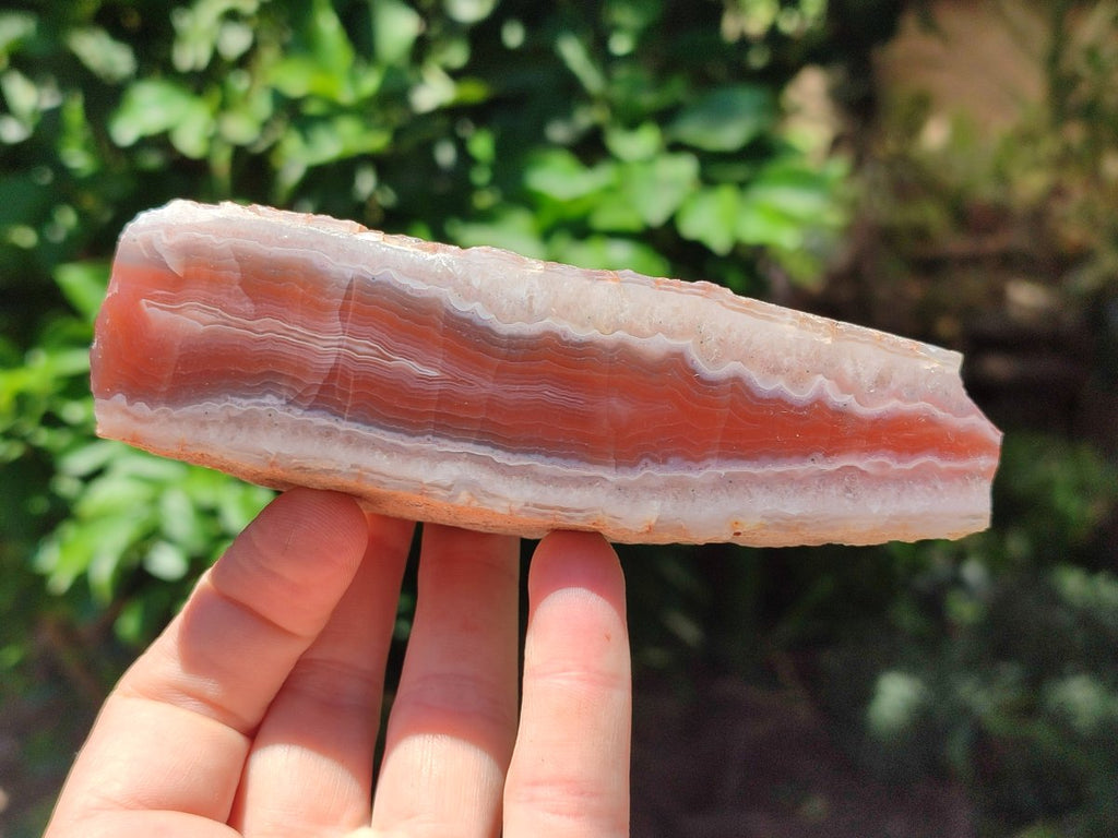 Polished On One Side Red Shashe River Agate Nodules x 5 From Shashe River, Zimbabwe
