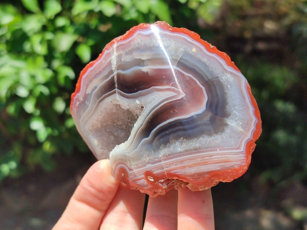 Polished On One Side Red Shashe River Agate Nodules x 5 From Shashe River, Zimbabwe