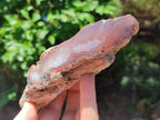 Polished On One Side Red Shashe River Agate Nodules x 5 From Shashe River, Zimbabwe