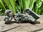 Natural Libethenite Crystals On Dolomite Matrix Specimens x 6 From Shituru, Congo