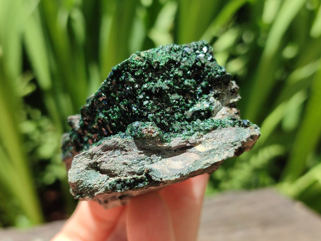 Natural Libethenite Crystals On Dolomite Matrix Specimens x 6 From Shituru, Congo