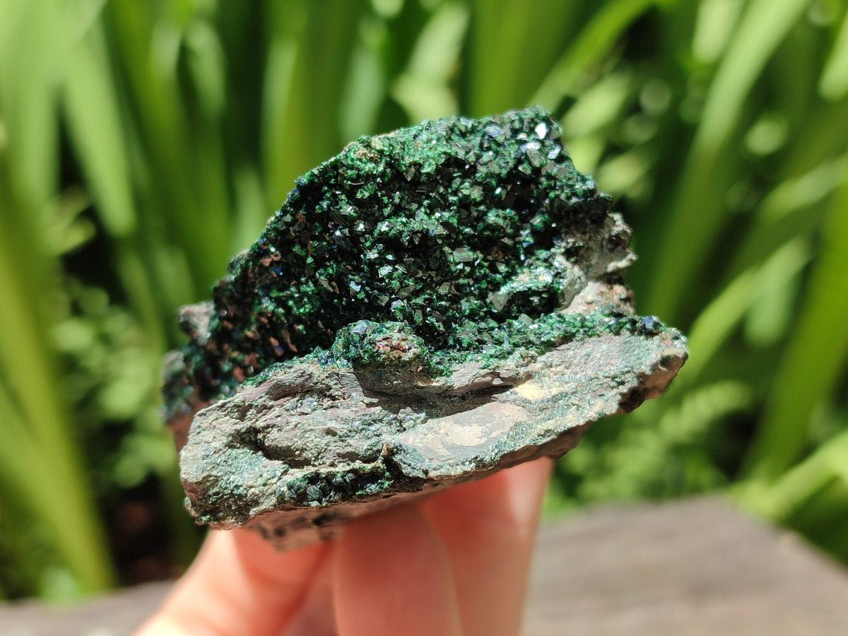 Natural Libethenite Crystals On Dolomite Matrix Specimens x 6 From Shituru, Congo