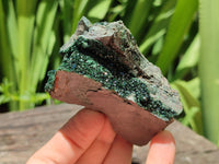 Natural Libethenite Crystals On Dolomite Matrix Specimens x 6 From Shituru, Congo