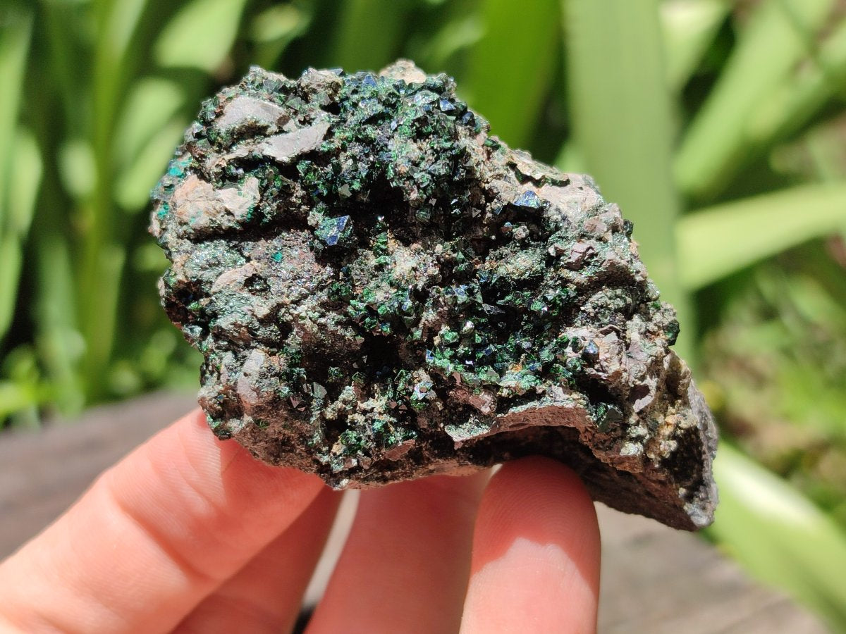 Natural Libethenite Crystals On Dolomite Matrix Specimens x 6 From Shituru, Congo