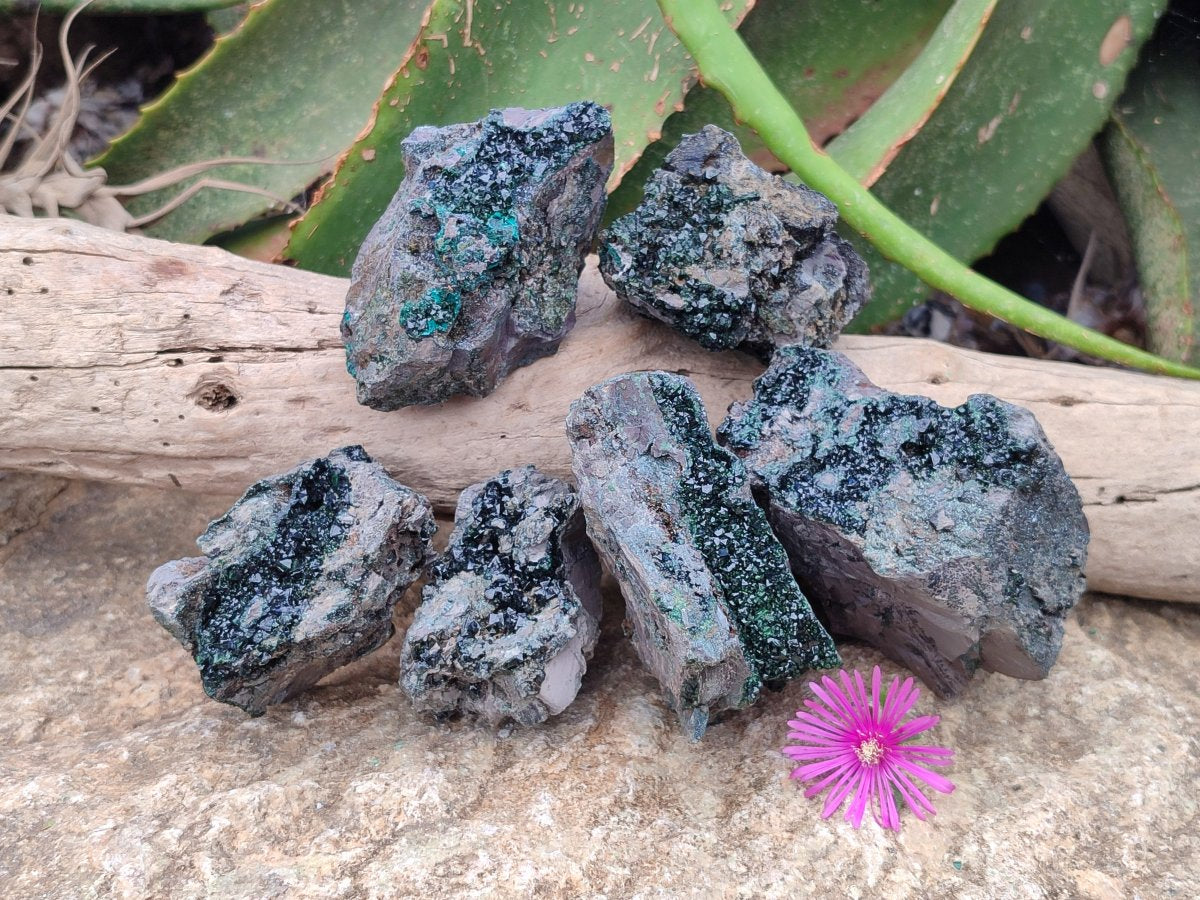 Natural Libethenite Crystals On Dolomite Matrix Specimens x 6 From Shituru, Congo