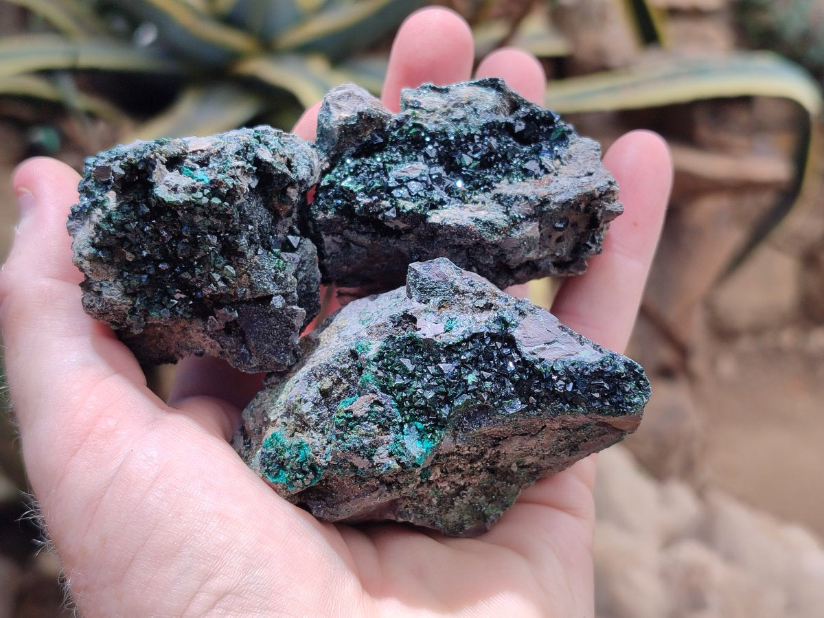 Natural Libethenite Crystals On Dolomite Matrix Specimens x 6 From Shituru, Congo