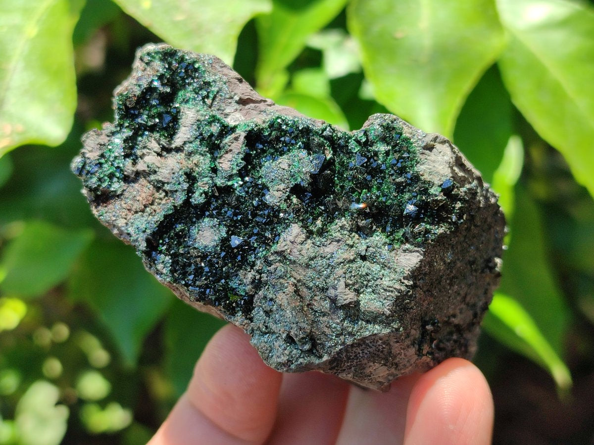 Natural Libethenite Crystals On Dolomite Matrix Specimens x 6 From Shituru, Congo