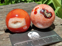 Polished Carnelian Agate Gemstone Spheres x 7 From Madagascar