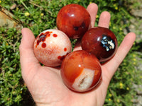 Polished Carnelian Agate Gemstone Spheres x 7 From Madagascar