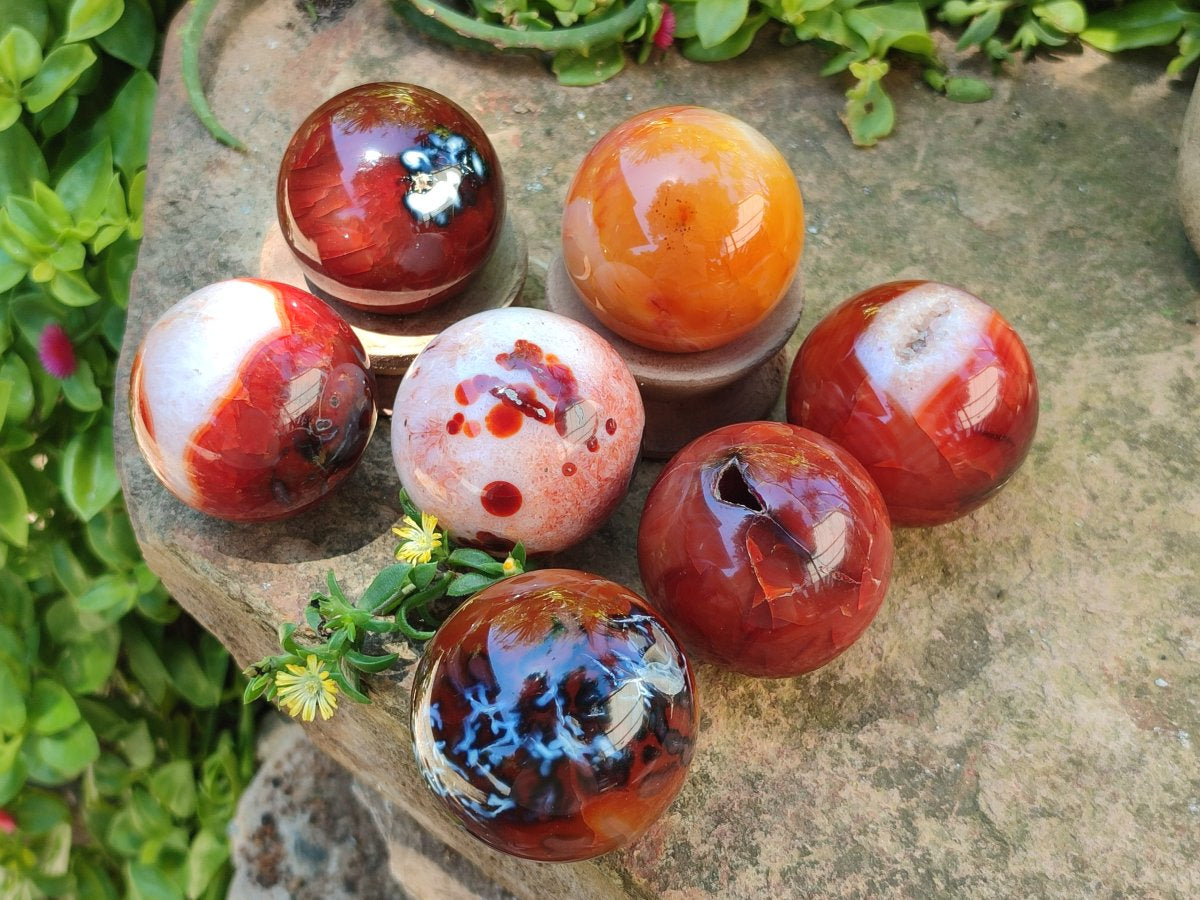 Polished Carnelian Agate Gemstone Spheres x 7 From Madagascar