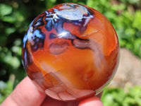 Polished Carnelian Agate Gemstone Spheres x 7 From Madagascar