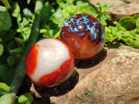 Polished Carnelian Agate Gemstone Spheres x 7 From Madagascar