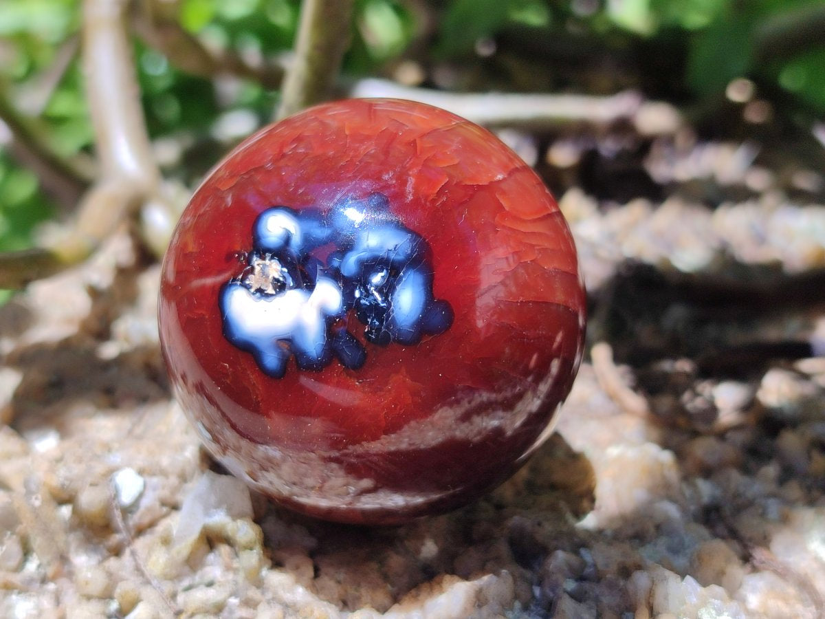 Polished Carnelian Agate Gemstone Spheres x 7 From Madagascar