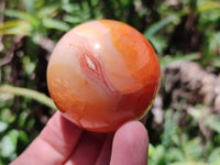 Polished Carnelian Agate Gemstone Spheres x 7 From Madagascar