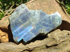 Polished One Side Sunset Flash Labradorite x 12 From Madagascar