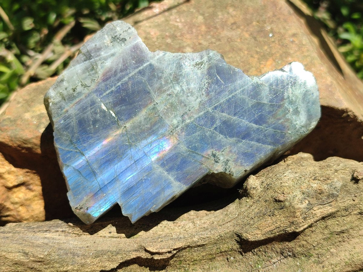 Polished One Side Sunset Flash Labradorite x 12 From Madagascar