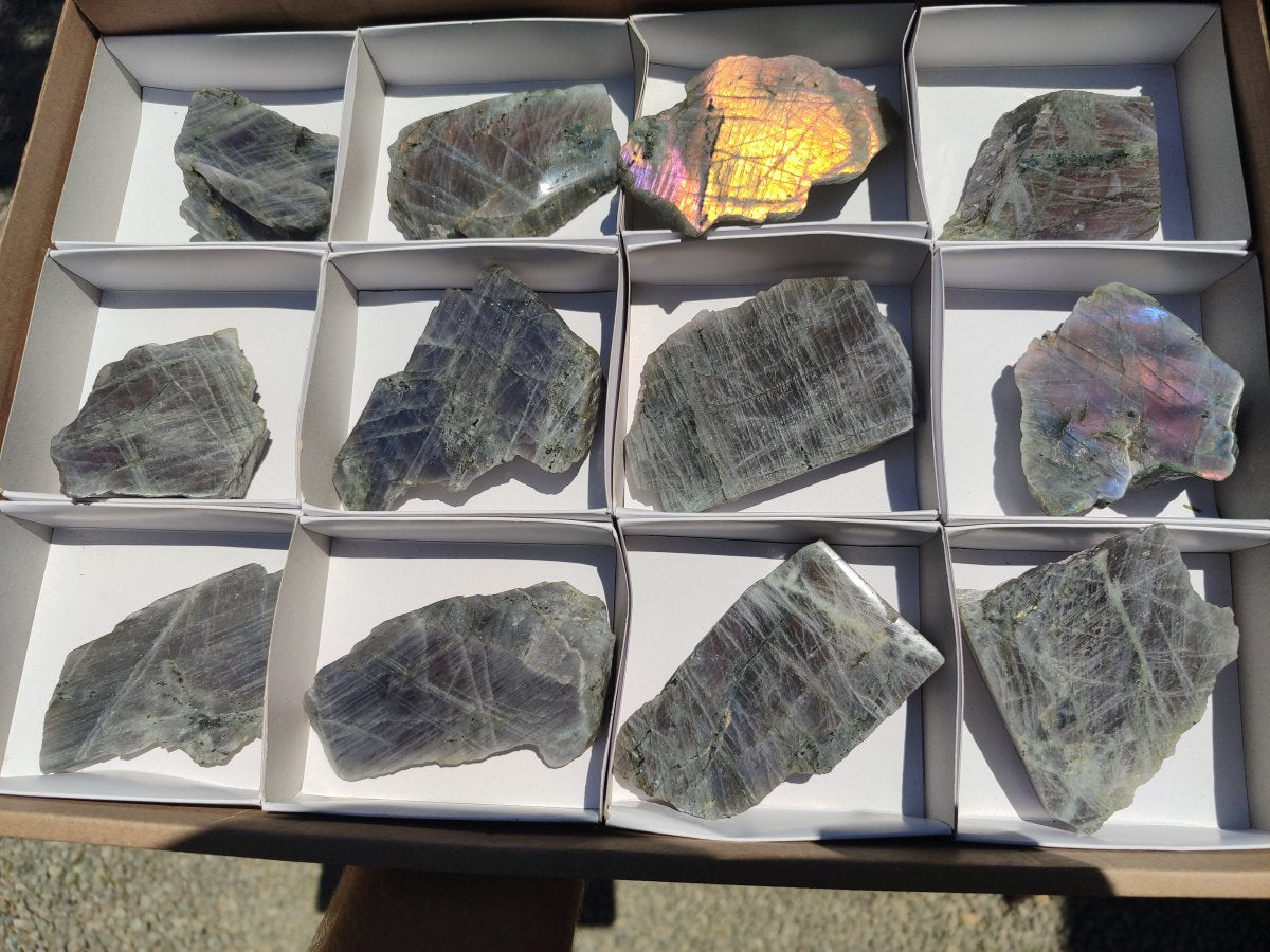 Polished One Side Sunset Flash Labradorite x 12 From Madagascar