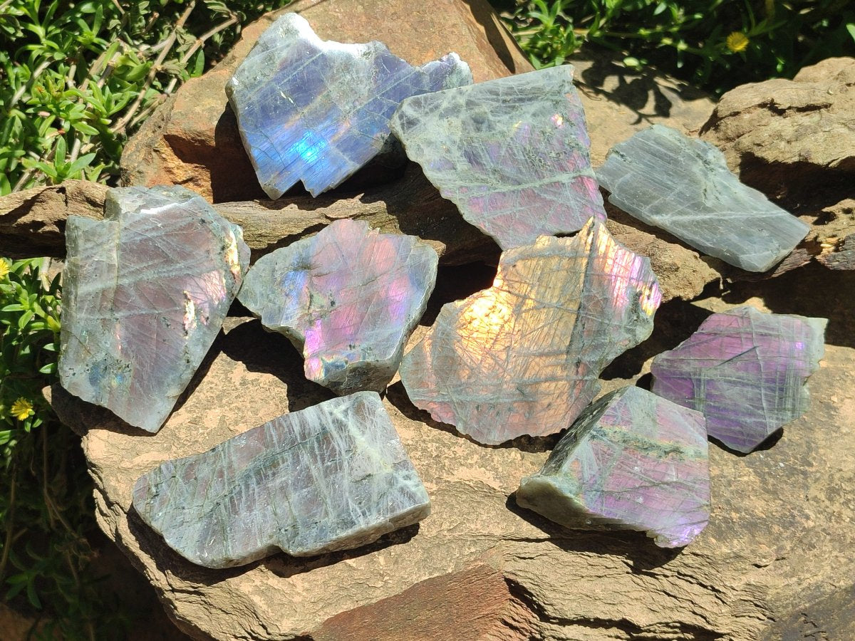 Polished One Side Sunset Flash Labradorite x 12 From Madagascar