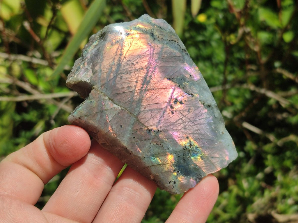 Polished One Side Sunset Flash Labradorite x 12 From Madagascar
