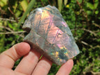 Polished One Side Sunset Flash Labradorite x 12 From Madagascar