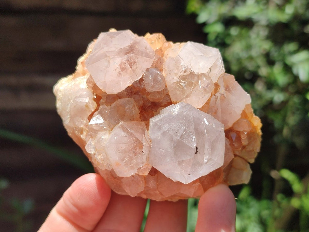 Natural White and Lilac Amethyst Spirit Clusters x 6 From Boekenhouthoek, South Africa
