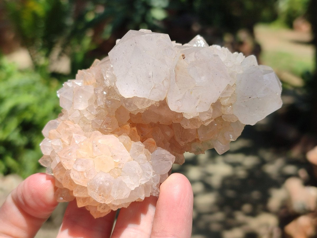 Natural White and Lilac Amethyst Spirit Clusters x 6 From Boekenhouthoek, South Africa