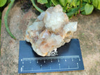 Natural White and Lilac Amethyst Spirit Clusters x 6 From Boekenhouthoek, South Africa