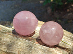 Polished Gemmy Star Rose Quartz Spheres x 5 From Madagascar
