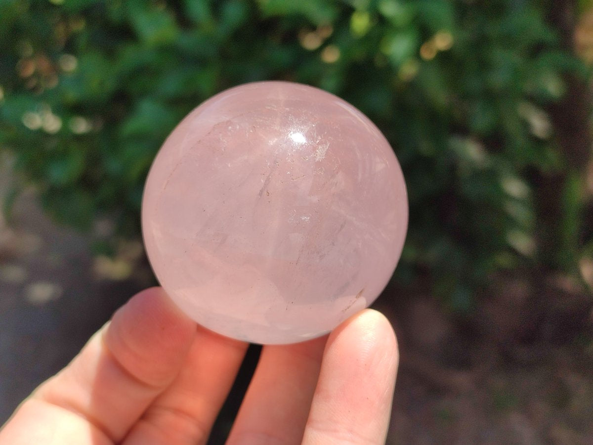 Polished Gemmy Star Rose Quartz Spheres x 5 From Madagascar