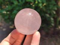 Polished Gemmy Star Rose Quartz Spheres x 5 From Madagascar