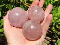 Polished Gemmy Star Rose Quartz Spheres x 5 From Madagascar