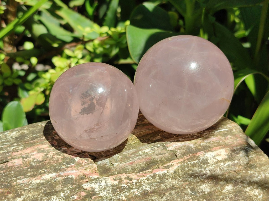 Polished Gemmy Star Rose Quartz Spheres x 5 From Madagascar