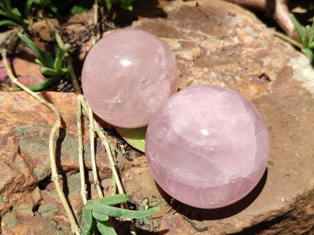 Polished Gemmy Star Rose Quartz Spheres x 5 From Madagascar